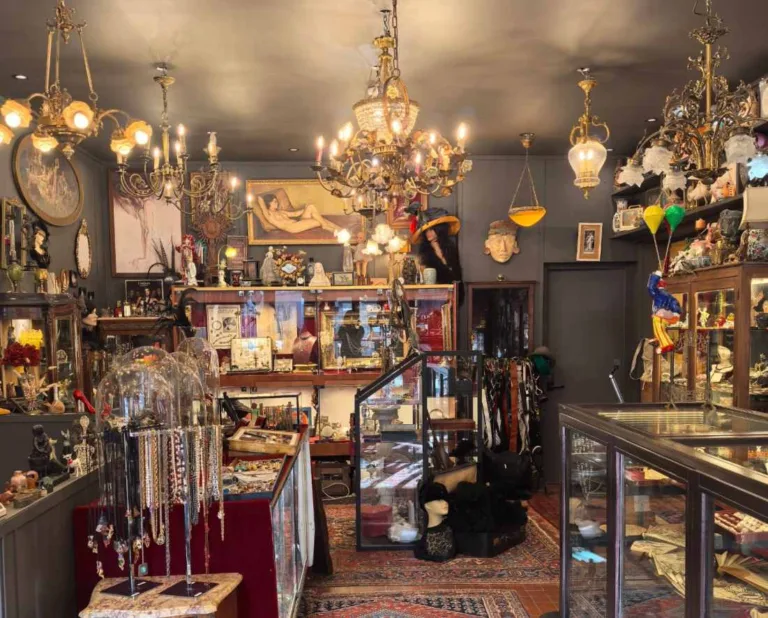 Aux Dames de Lille Brocante Antiquaire Lille France 1 768x618