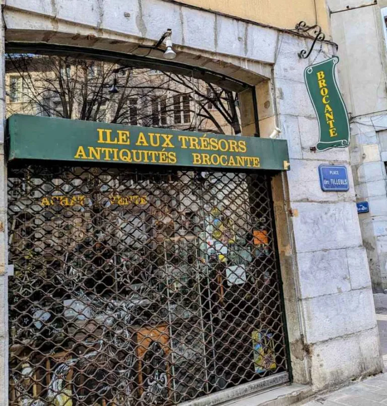 Ile aux Tresors Galerie dart Grenoble France 1 768x806